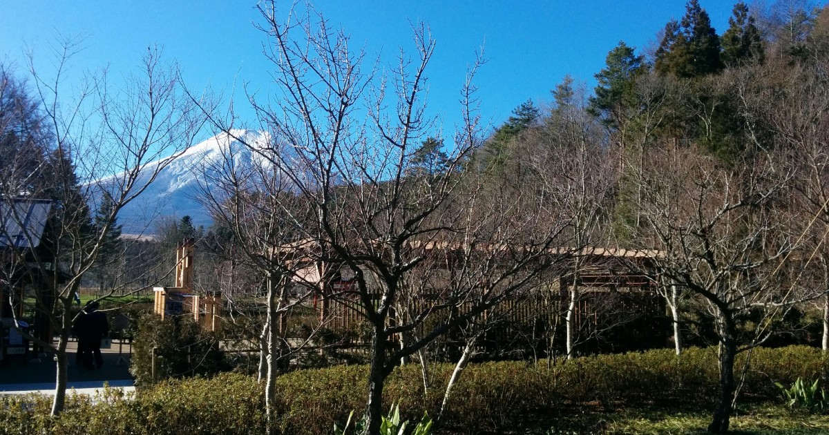 富士山